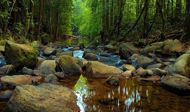 Sinharaja Forest Reserve